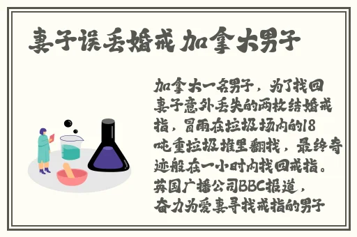 张婉莹暑假