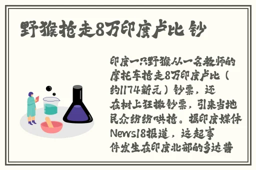 满脸嫌弃你的侄女桃子移植攻略